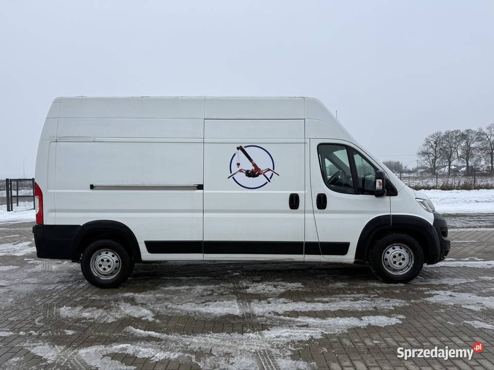 Citron Jumper 20 Diesel Polski Salon Zadbany Jumper Krośniewice