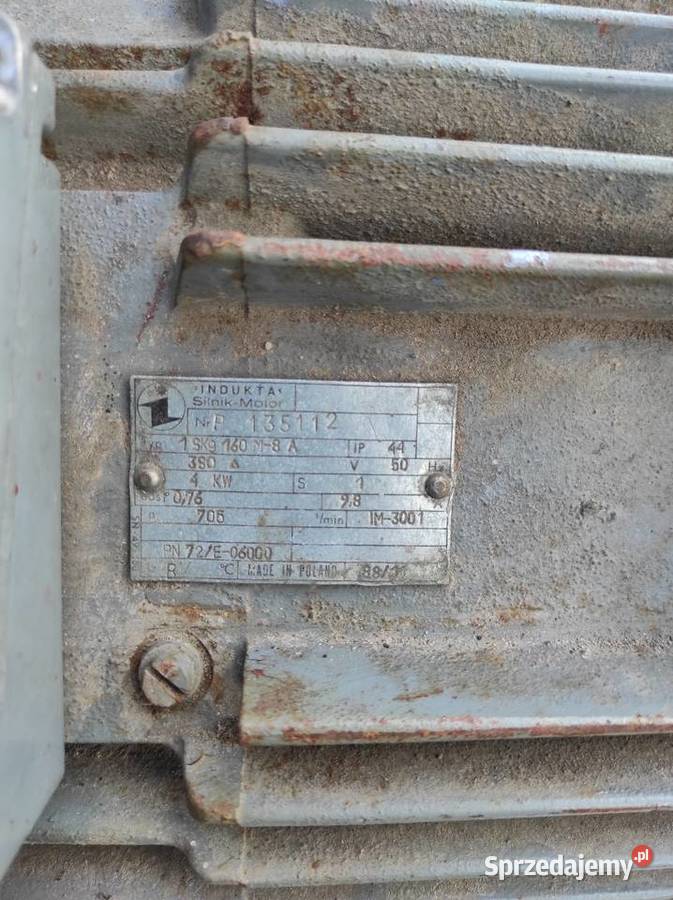 Łuparka do drewna Wielkie Oczy