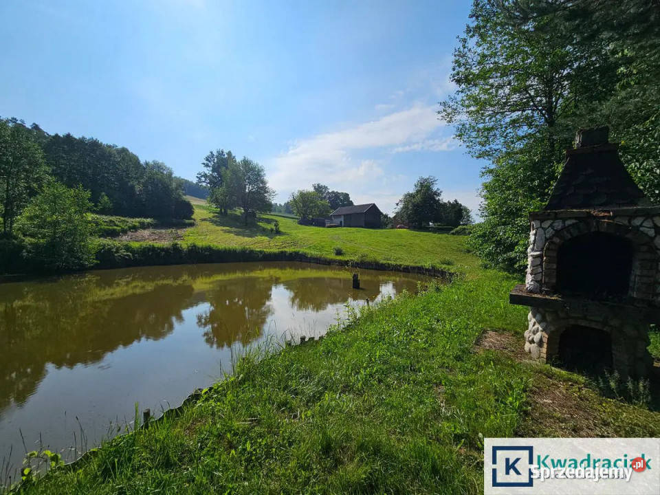 Działka Pietrusza Wola 19200m2 Grunty i działki