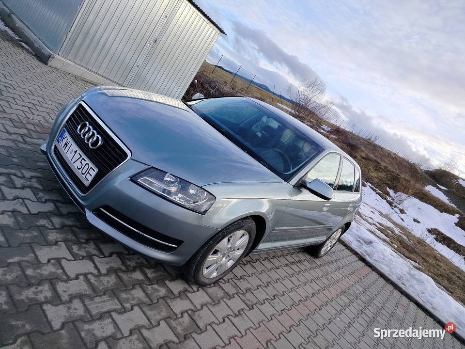 Audi A3 8p sportback lift 16tdi 265000km małopolskie Ptaszkowa sprzedam