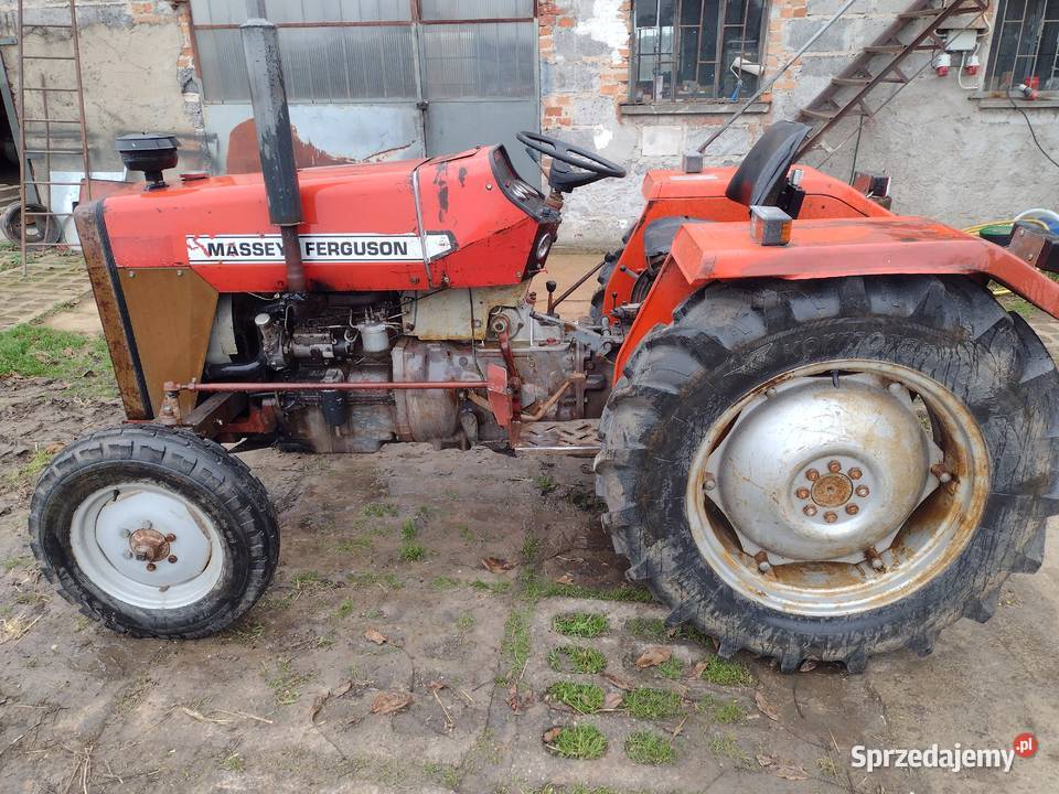 Massey Ferguson 235 autentyczny przebi do kujawsko-pomorskie Kowalewo Pomorskie
