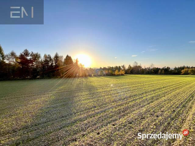 sprzedaży działki 2159m2 Gbiska