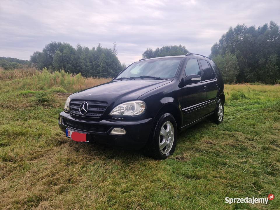 Mercedes ML 270Cdi z Niemiec Okazja hak 3500 diesel Zgorzelec sprzedam