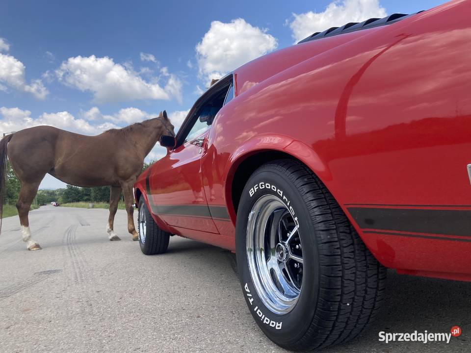 1970 Mustang Boss 302