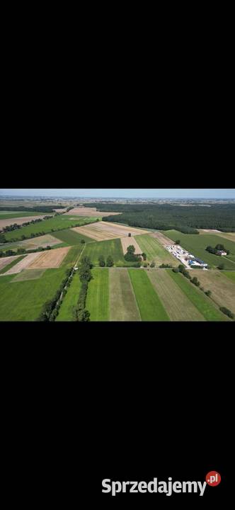 Działki z prawem do zabudowy Skotniki kOzorkowa