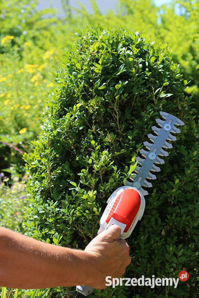 IKRA IGBS1054 LI SEKATOR NOŻYCE DO TRAWY KRZEWÓW Opalenica