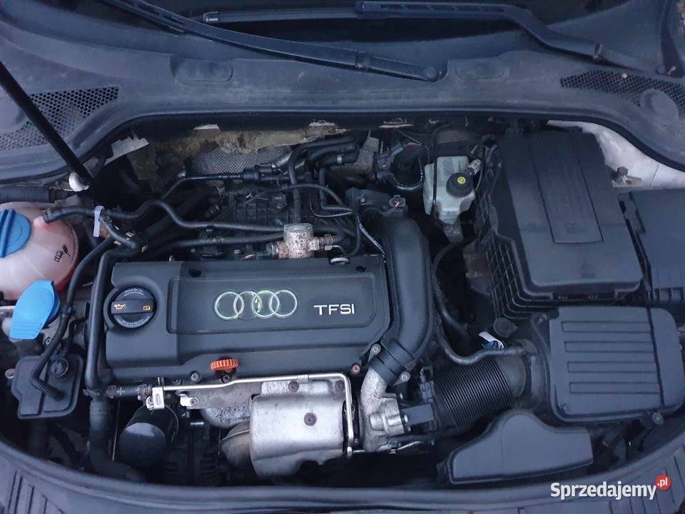 Audi A3 II 8P 14T 2009 144 SPORTBACK 145KM Bydgoszcz