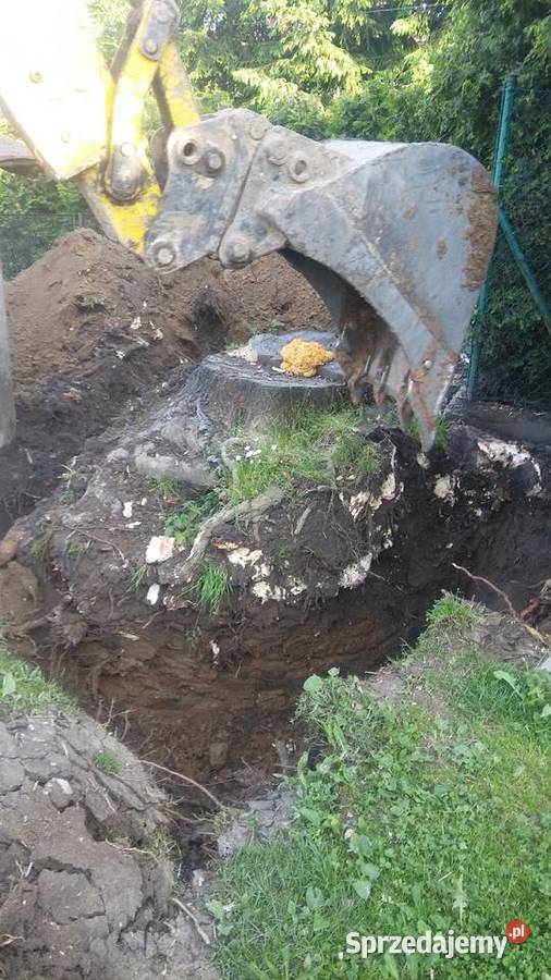 Wycinka drzew karczowanie sprzątanie Krzeszowice
