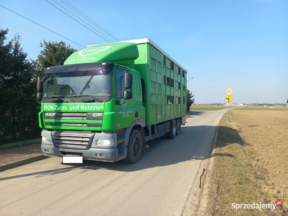 Daf CF 85410 6X2 do żywca i trzody chlewnej 3 Mielec