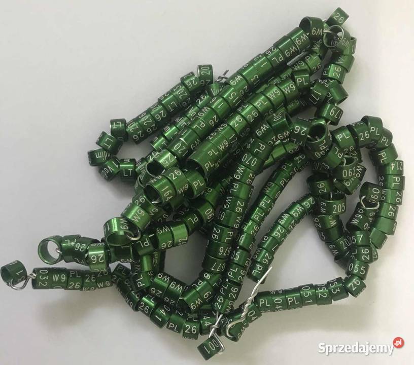 Obrączki kanarek i inne Twój inicjał sygnum cih Maków Podhalański