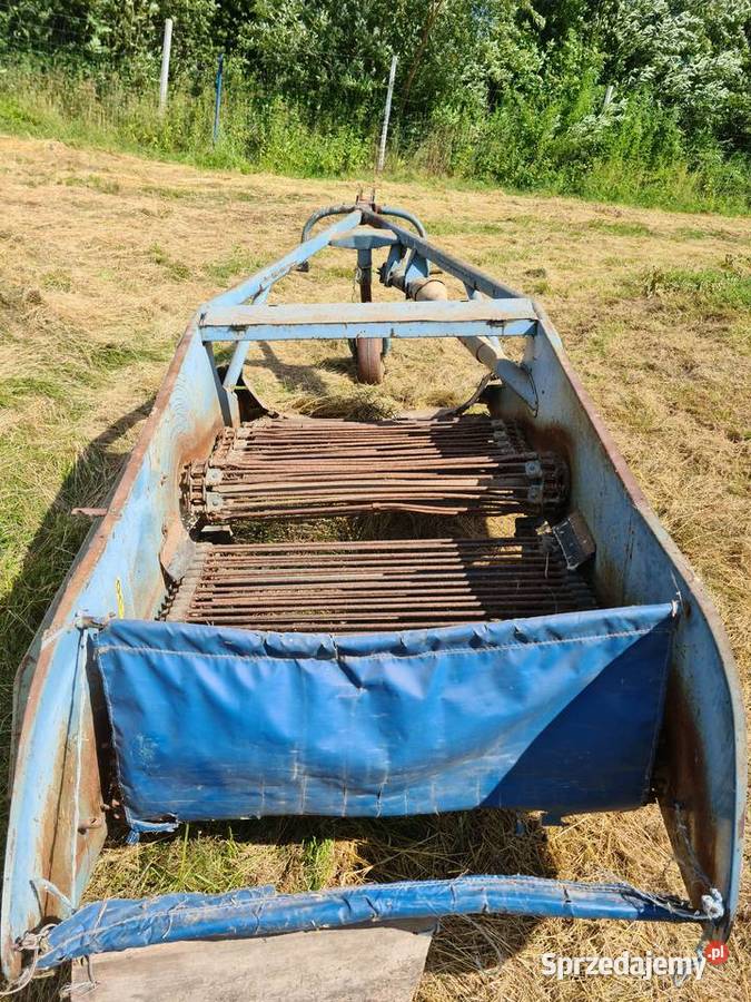 Kopaczka dwurzedowa nieuszkodzony Pozostałe Krzewie Wielkie sprzedam