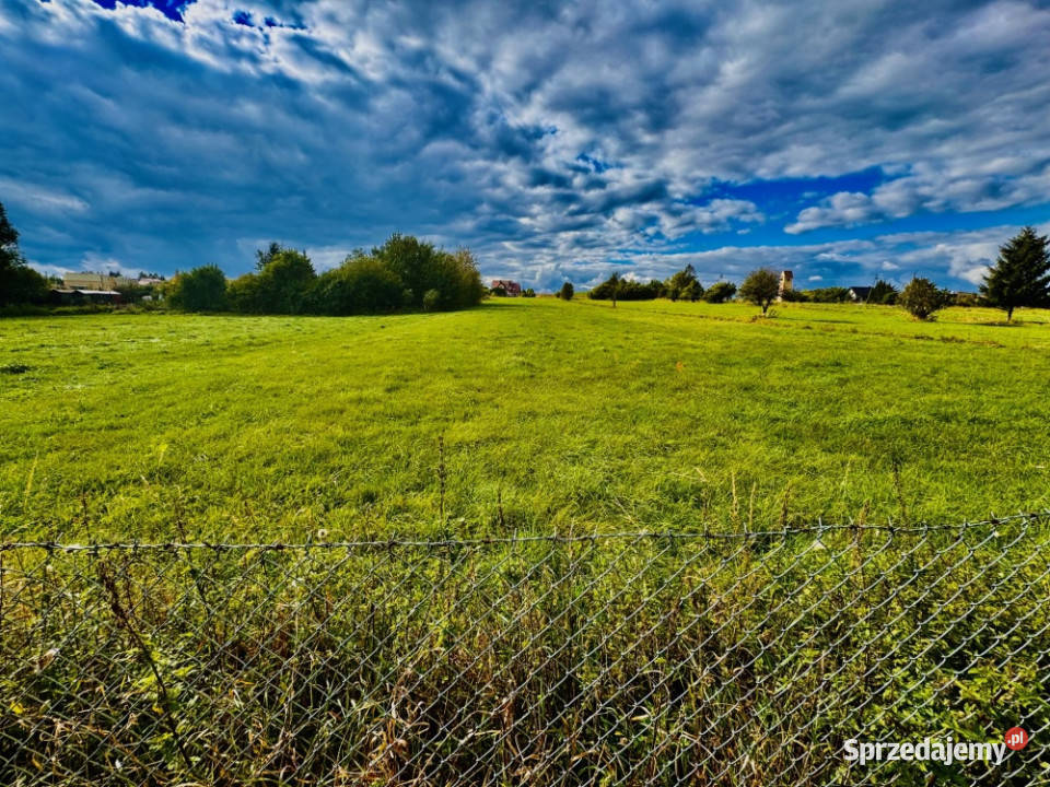 Działka z pozwoleniem na budowę media działce Sprzedaż Drygały