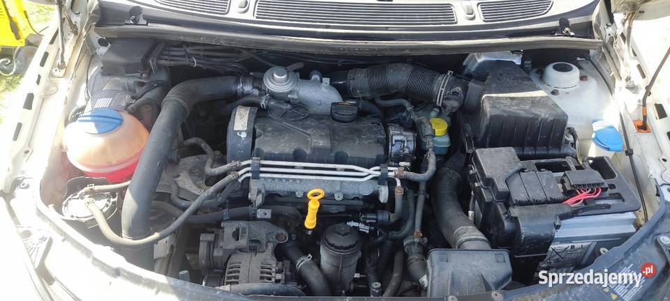 Skoda Fabia Orle
