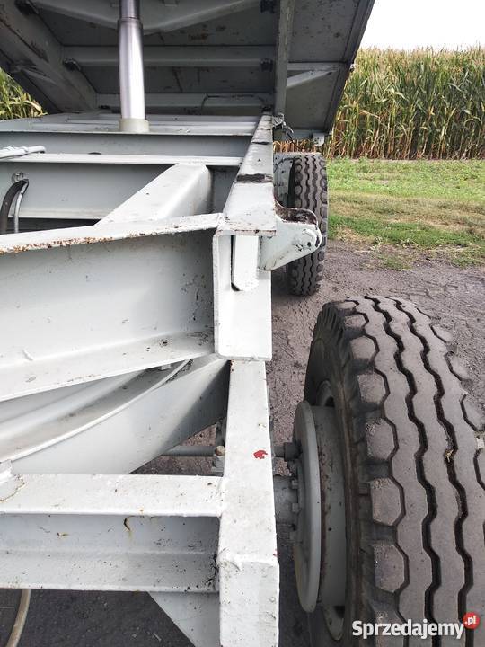 Przyczepa d55 Przyczepy rolnicze Rozdrażew sprzedam