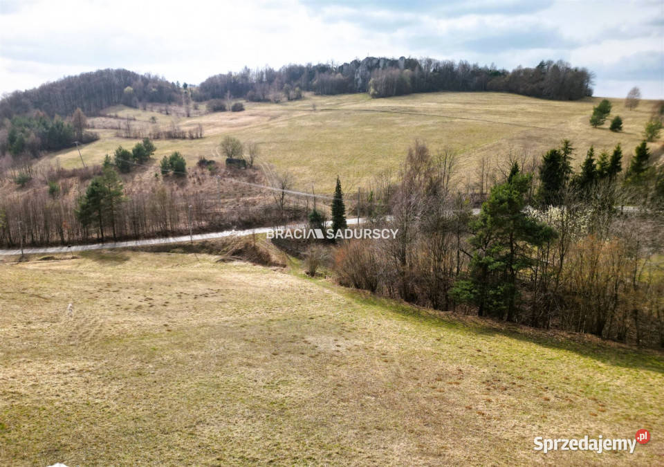 Grunt Jerzmanowice Zachodnia 4400m2 gaz