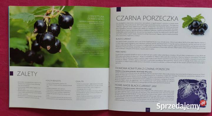 Folder Poczta Polska Światowa wystawa EXPO 2015 Wrocław