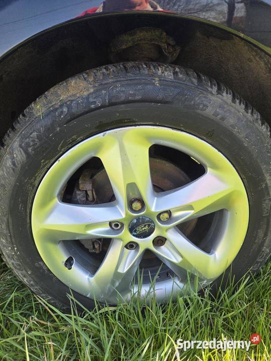 Ford Focus MK II Lift 16 Anglik Wolbrom
