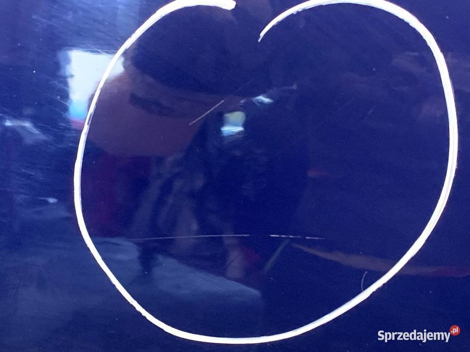 DRZWI PRAWY TYŁ DACIA SANDERO Hatchback BLEU