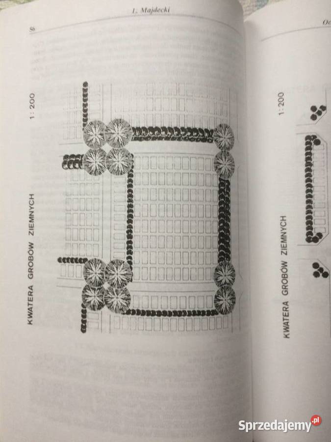 2967 Cmentarz Centralny Szczecina