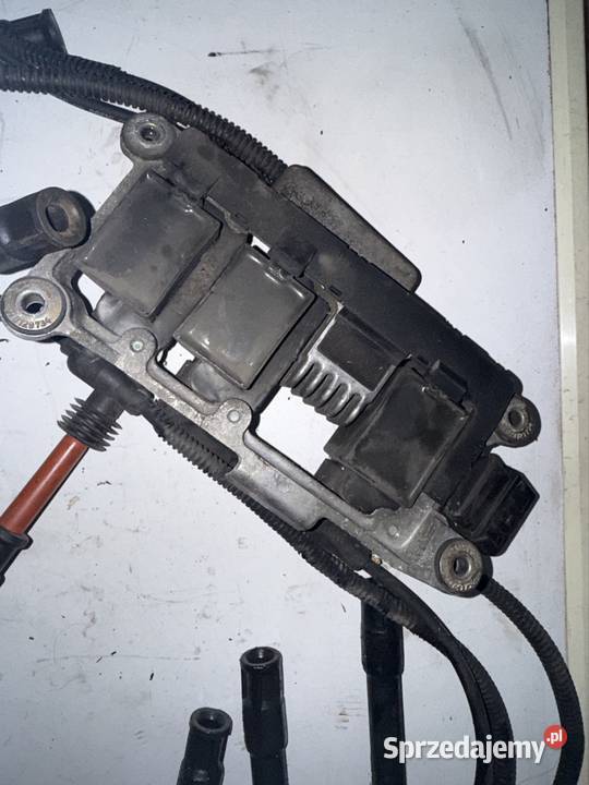 Cewka zapłonowa Audi A4 B5 A6 C5 24 28 B wielkopolskie Ostrów Wielkopolski sprzedam