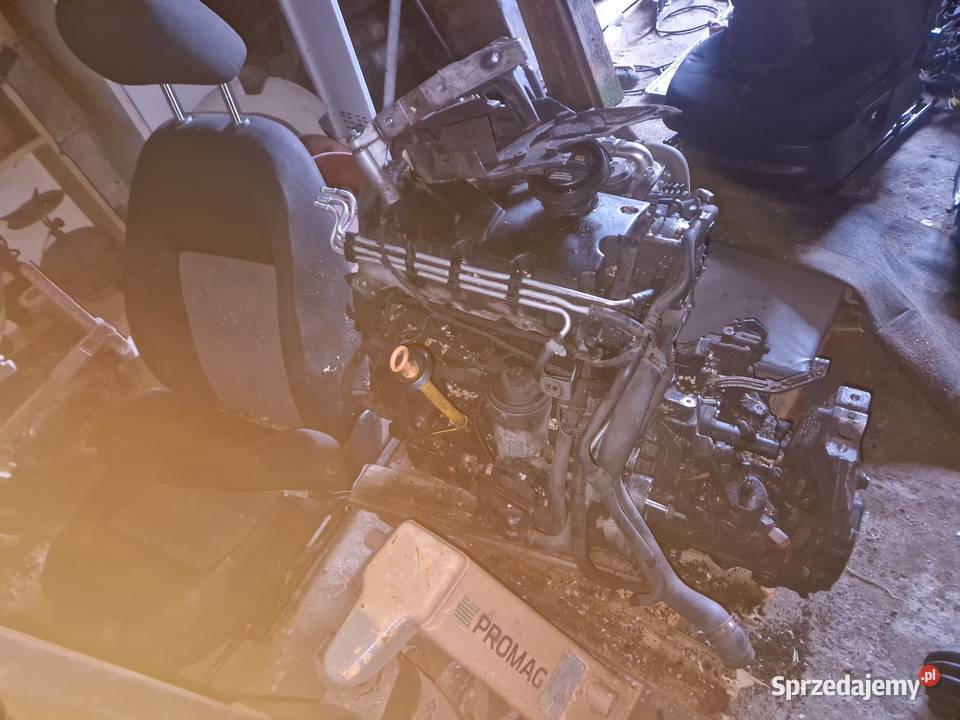 Skoda oktavia 2 wielkopolskie Czechel