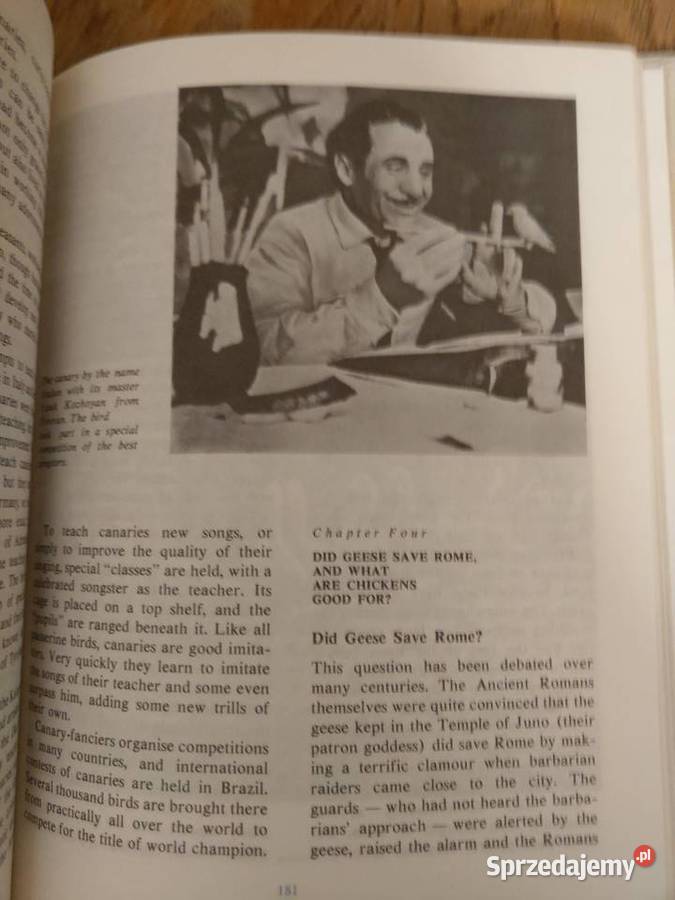 Animals on a Pedestal Dmitriyev