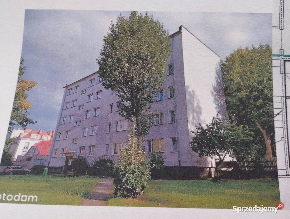 Mieszkanie 2 pok Wyszyńskiego 88b 1 p zdala Liczba pokoi 2 Szczecinek