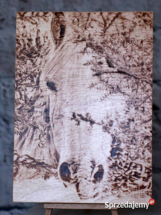 Głowa konia Grafika wypalona w drewnie Jasienica Rosielna