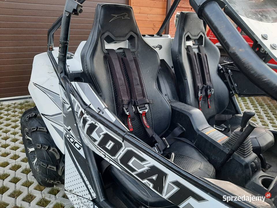 Arctic Cat Wildcat X 1000 2014 Sprowadzony UTV Ełk