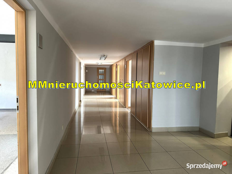 Biura do wynajęcia w Katowicach biurowiec duży Katowice
