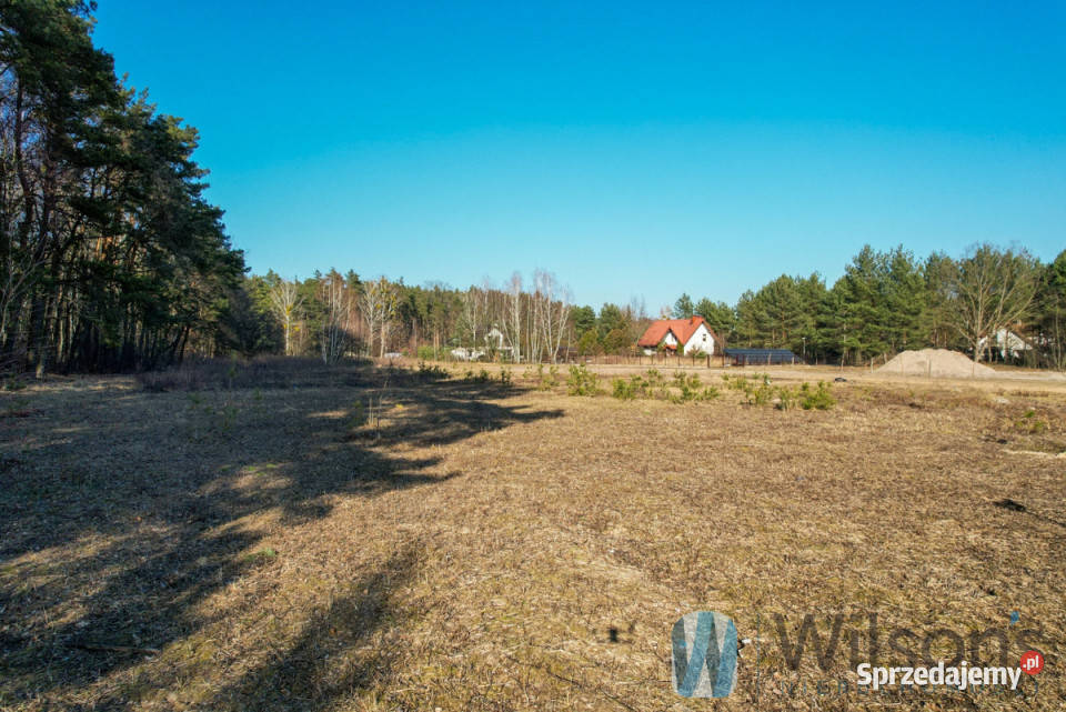 Działkę sprzedam 3726m2 Leszno Polna 39m mazowieckie