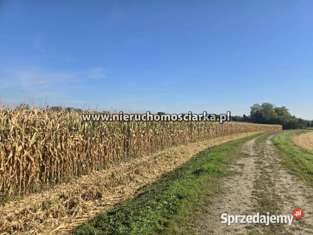 Grunt do sprzedania 4540m2 Buków śląskie sprzedam