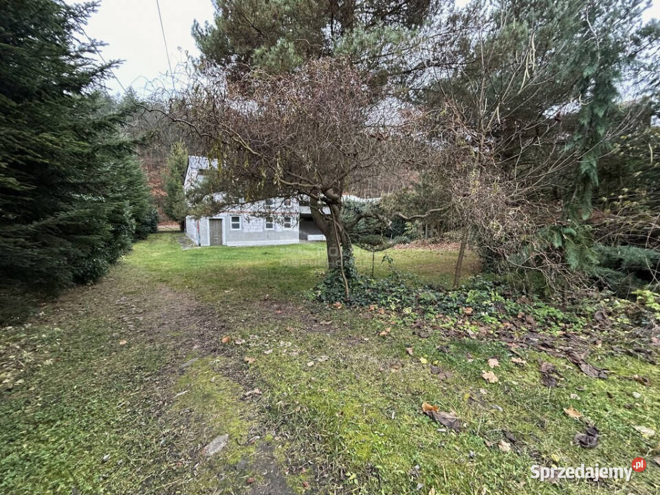Twój Azyl Dom z ogrodem i warsztatem lesie Sprzedaż lubelskie Tomaszów Lubelski sprzedam