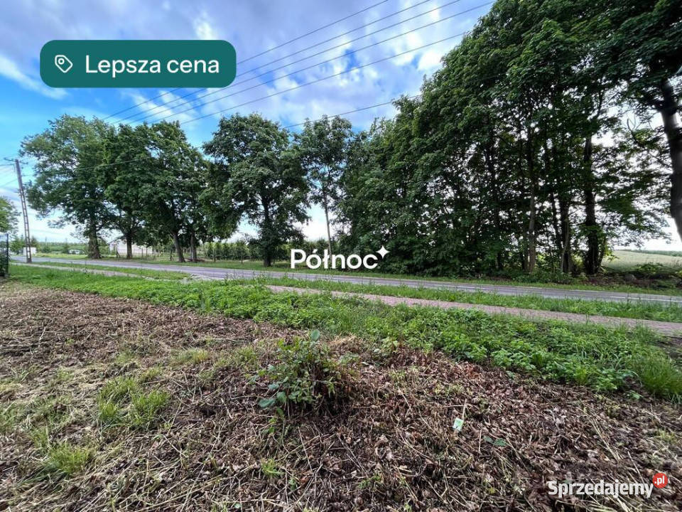 Nowe Hołowczyce 2 działki pod zabudowę i 2 leśne mazowieckie