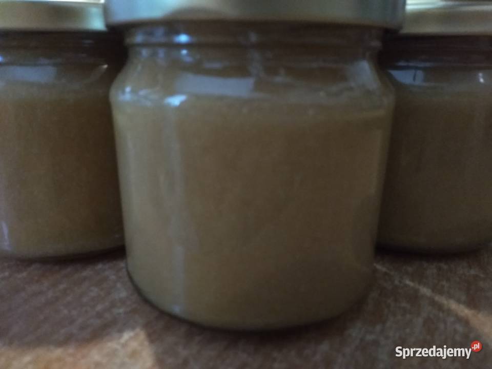 Mleczko pszczele trutowe Gomogenat Trutowy Warszawa