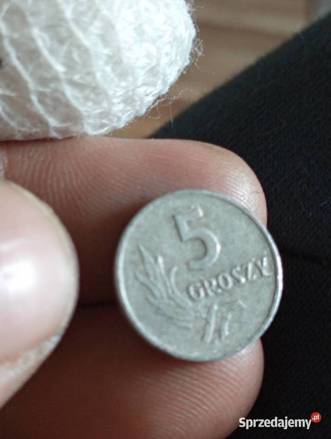 Sprzedam 5 gr 1961 r bzm Chełm sprzedam