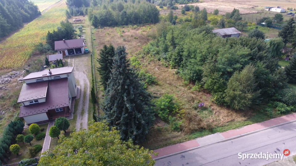 Działka Dąbrowica Ludwin 105 ar media asfalt