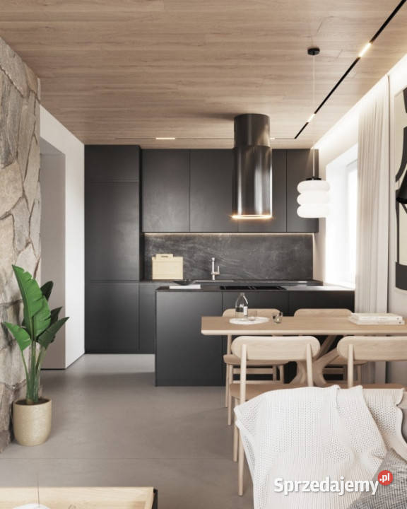 Dom do remontu w górach Wisła 70m2 Katowice