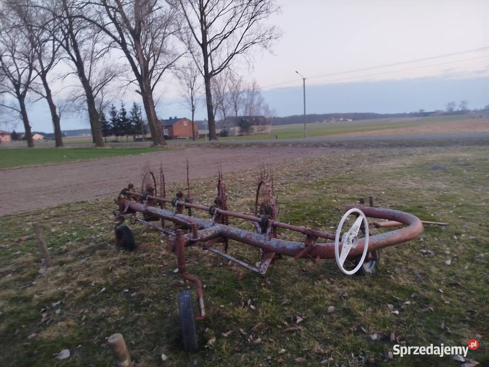 Zgrabiarka 5 gwiazd Kłodawa