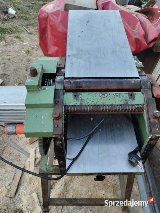 Heblarka Grubosciowka Kaliska