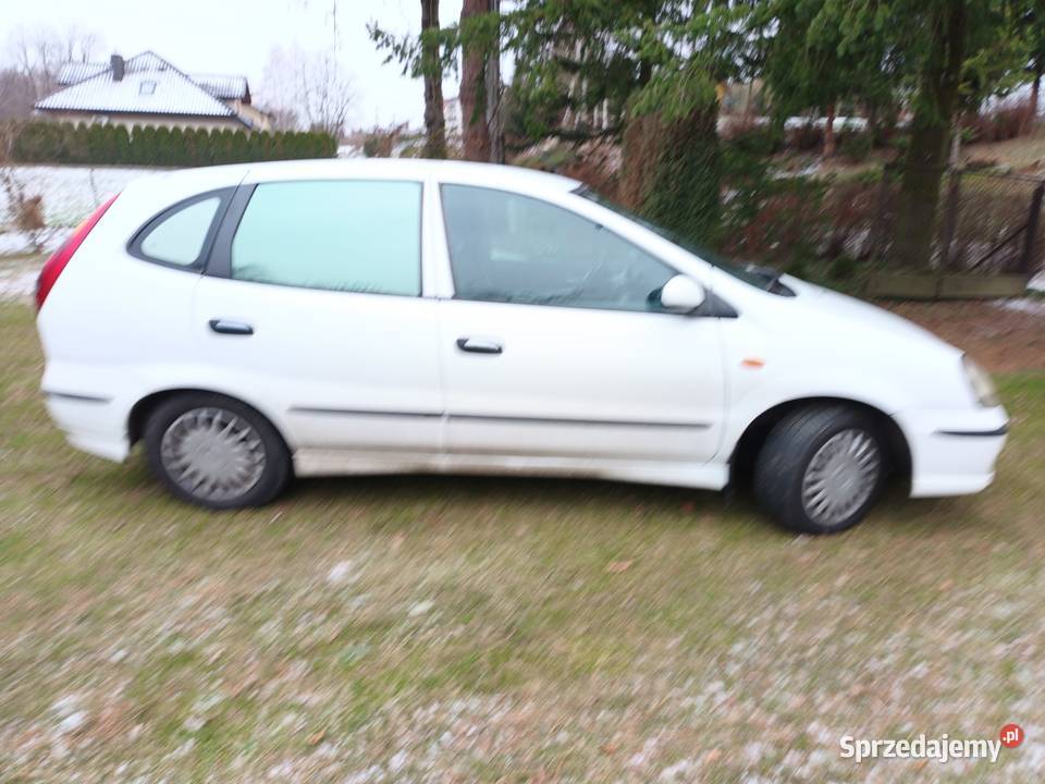 Nissan Almera Tino Tarnów