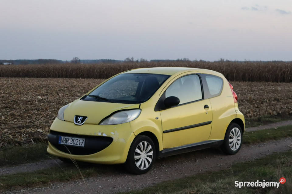 Peugeot 107 10 Benzyna 2008r Tanio Możliwa 998cm3 107 Warszawa