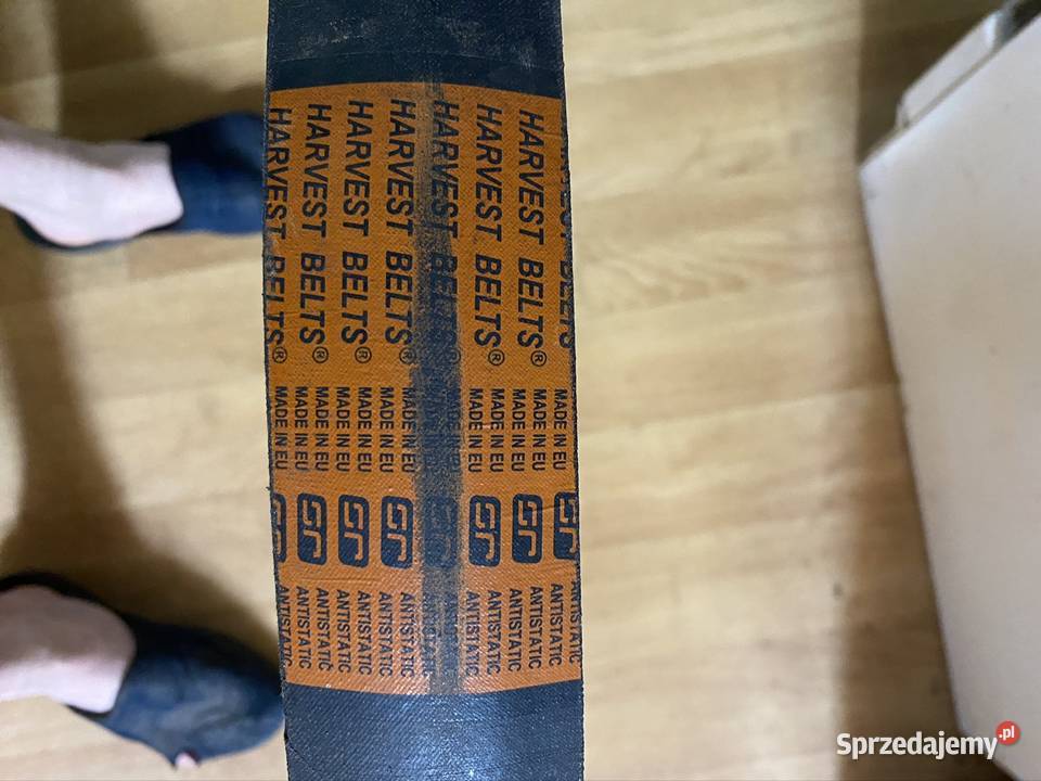 Pas klinowy jezdny nowy Kobyla Góra