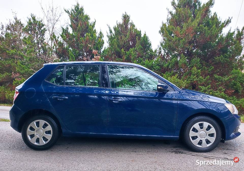 Ładna Skoda Fabia 10 MPI 2015 ten lepszy silnik elektryczne lusterka Domaradz