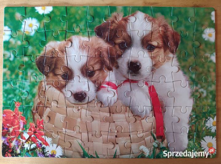 Puzzle Szczeniaczki w koszyku Axel 4 lat 60 4 lata+ Warszawa