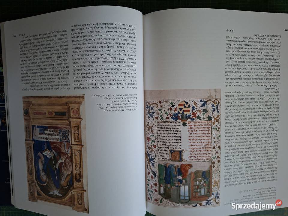 Muzeum Narodowe w Krakowie i Kolekcja Książąt twarda z obwolutą małopolskie Kraków