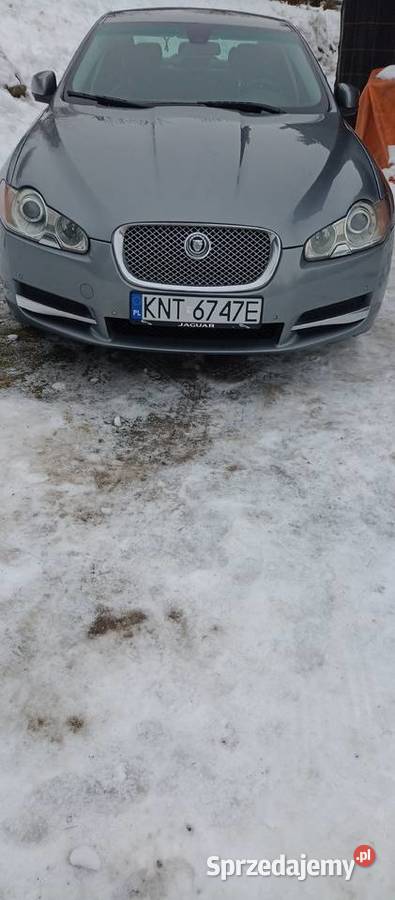 Jaguar XF Jaguar małopolskie Nowy Targ