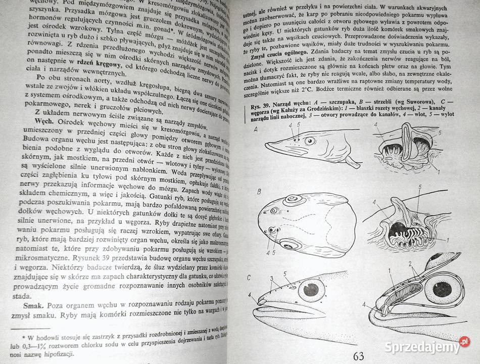 Rybactwo stawowe Roman Prawocheński Chełm