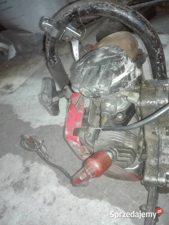 Nożyce do żywopłotu Żywiec