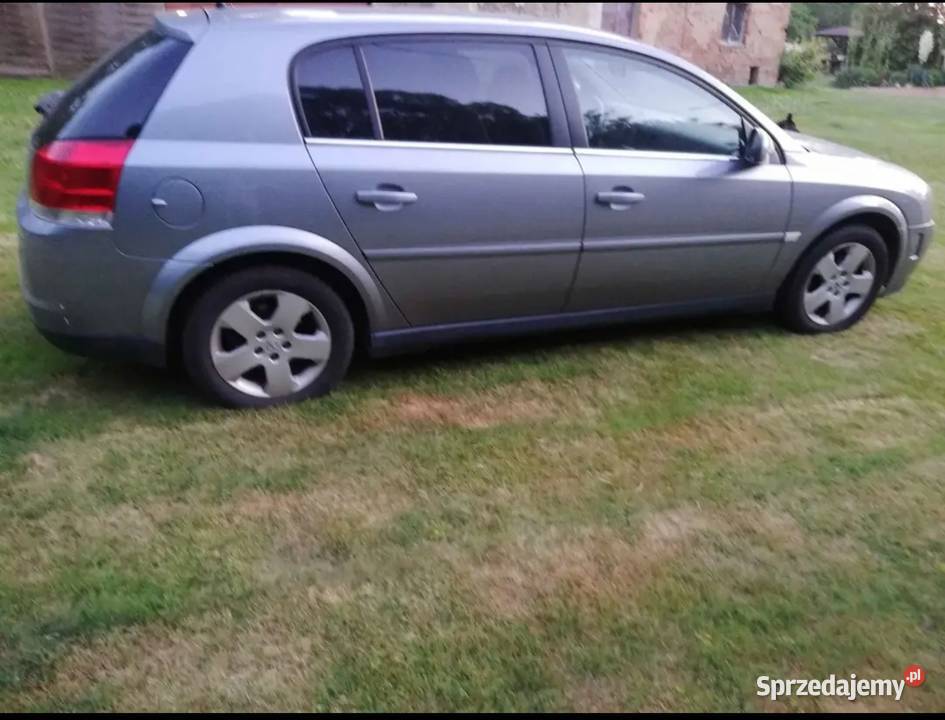 Opel Signum 22 direct z Niemiec Zadbany Signum dolnośląskie Zgorzelec